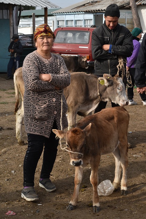 Kyrgyzstán - nedělní dobytčí trh, Karakol 