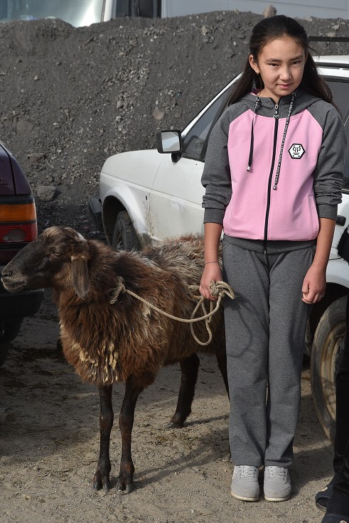 Kyrgyzstán - nedělní dobytčí trh, Karakol 