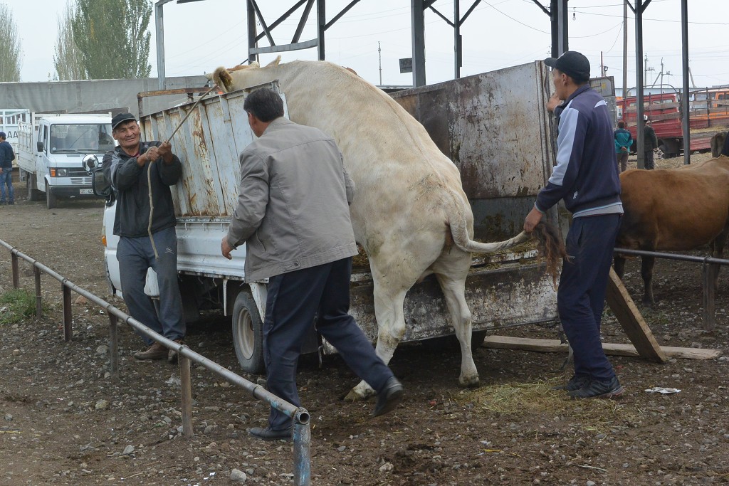 Kyrgyzstán -  