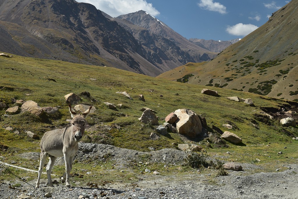 Kyrgyzstán - údolí Barskoon, již. od Issyk-kulu 