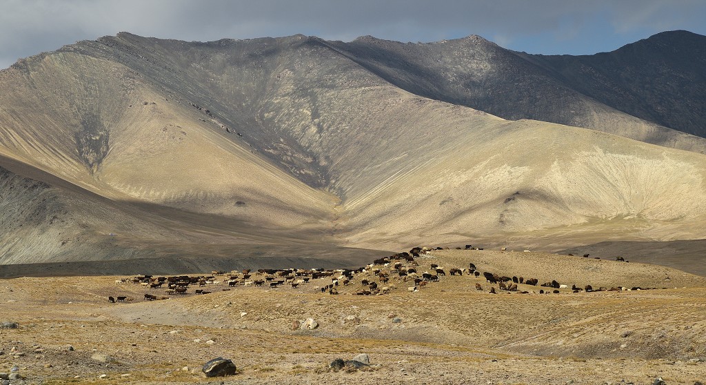 Kyrgyzstán - Upper Naryn Valley již. od Barskoonu 