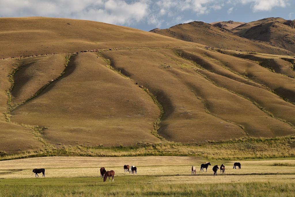 Kyrgyzstán - údolím ř. Kaja-Kujur ze Sari-Bulak do Ak-Kiya 