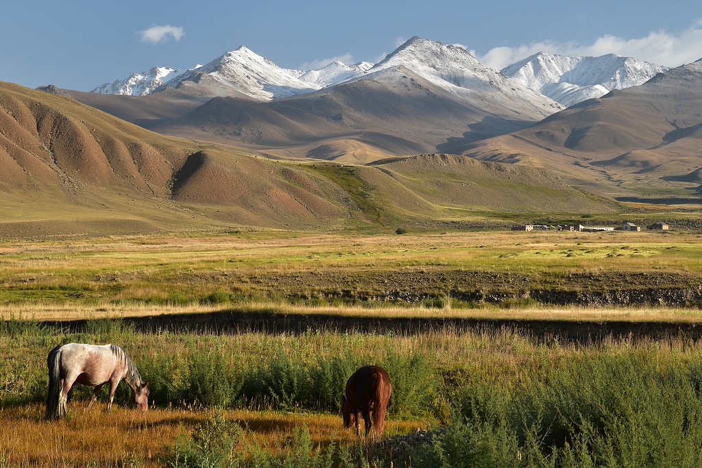 Kyrgyzstán - u ř. Kajakujur, u Ak-Kiya 2450 m, jv. od Kočkoru 