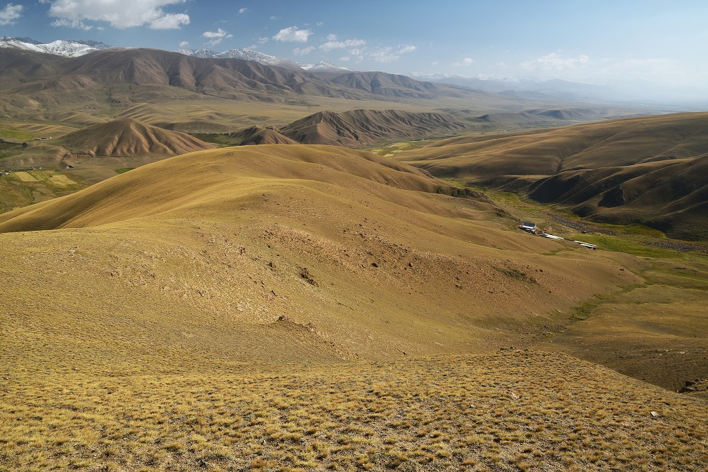 Kyrgyzstán - v kopcích  u Ak-Kiya 2450 m, jv. od Kočkoru 