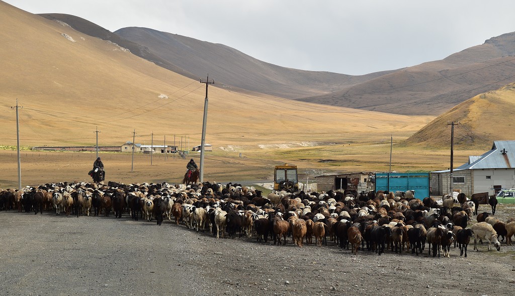 Kyrgyzstán - cestou na sedlo Jalpakbel Ashuu (3300 m) 
