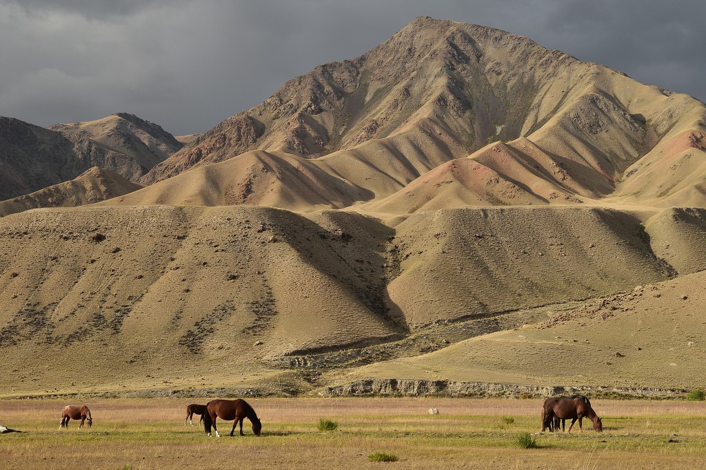 Kyrgyzstán - u Uzun Bulak, údolí Malého Narynu 