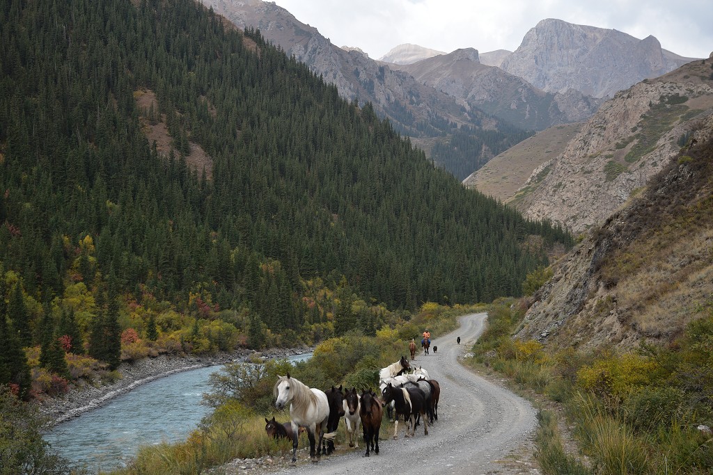 Kyrgyzstán - soutěska Malého Narynu, mezi Uzun Bulak a Eki-Naryn 