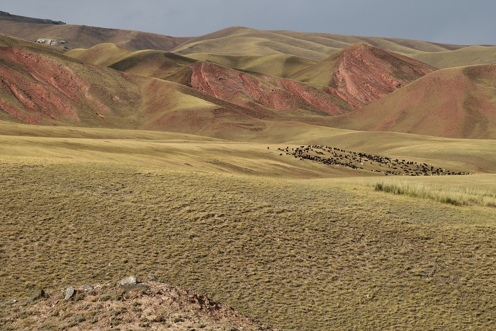 Kyrgyzstán - u Orto-Sirt, cestou do Baetova od jihu 