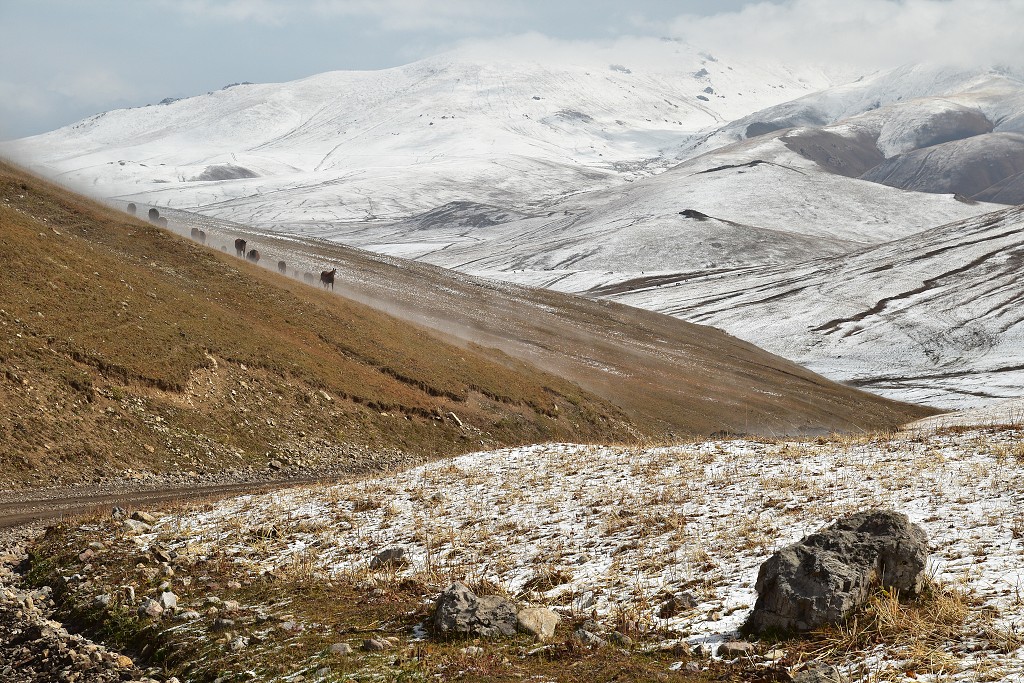Kyrgyzstán -  od Jangi-Talap k jezeru Song-Köl 