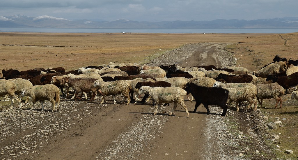 Kyrgyzstán -  od Jangi-Talap k jezeru Song-Köl 