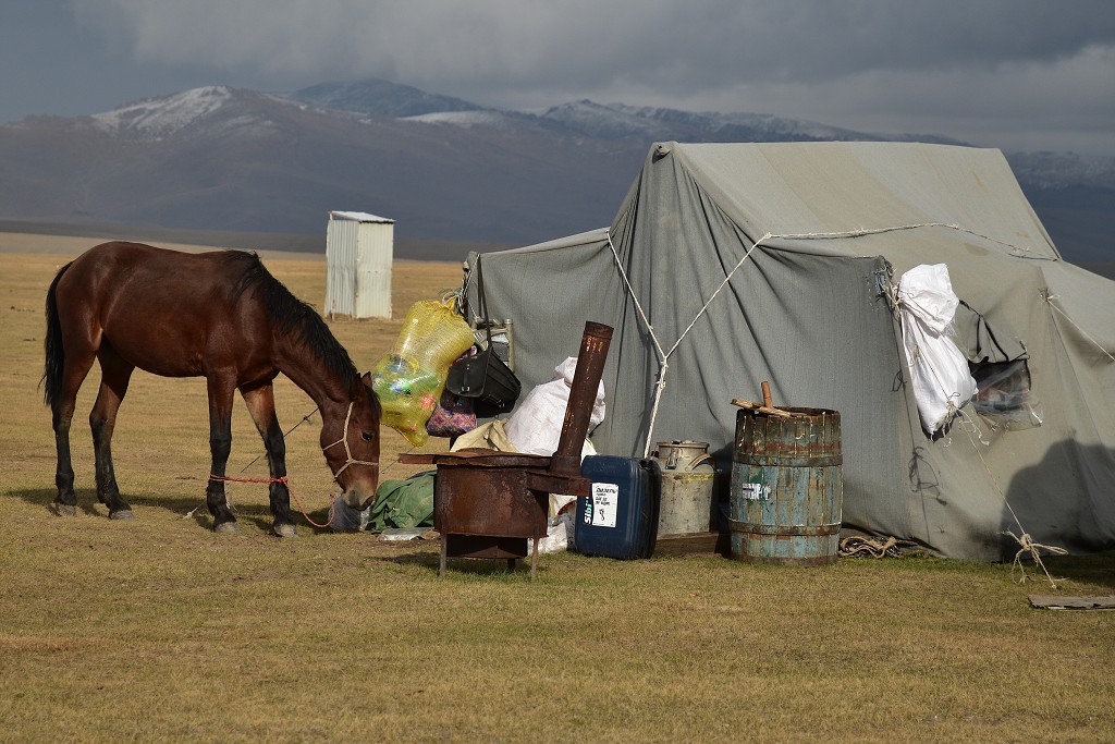 Kyrgyzstán - u jezera  Song-Köl (3016 m) 