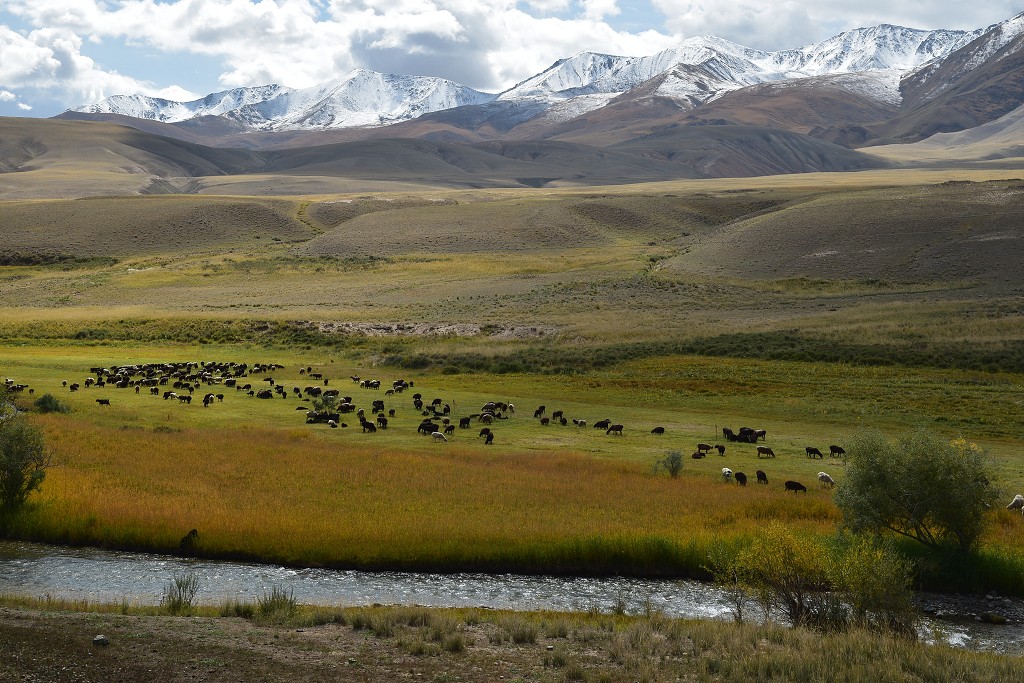 Kyrgyzstán -  v  údolí Tölök 