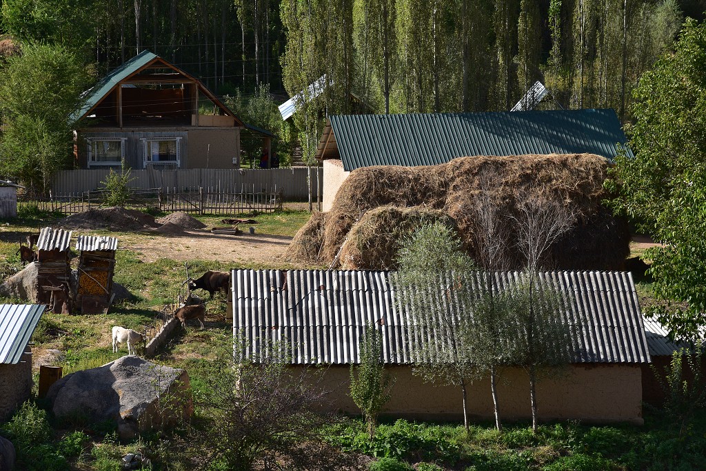 Kyrgyzstán - odlehlá osada Noot-Toluk, vých. od Toktogulu 