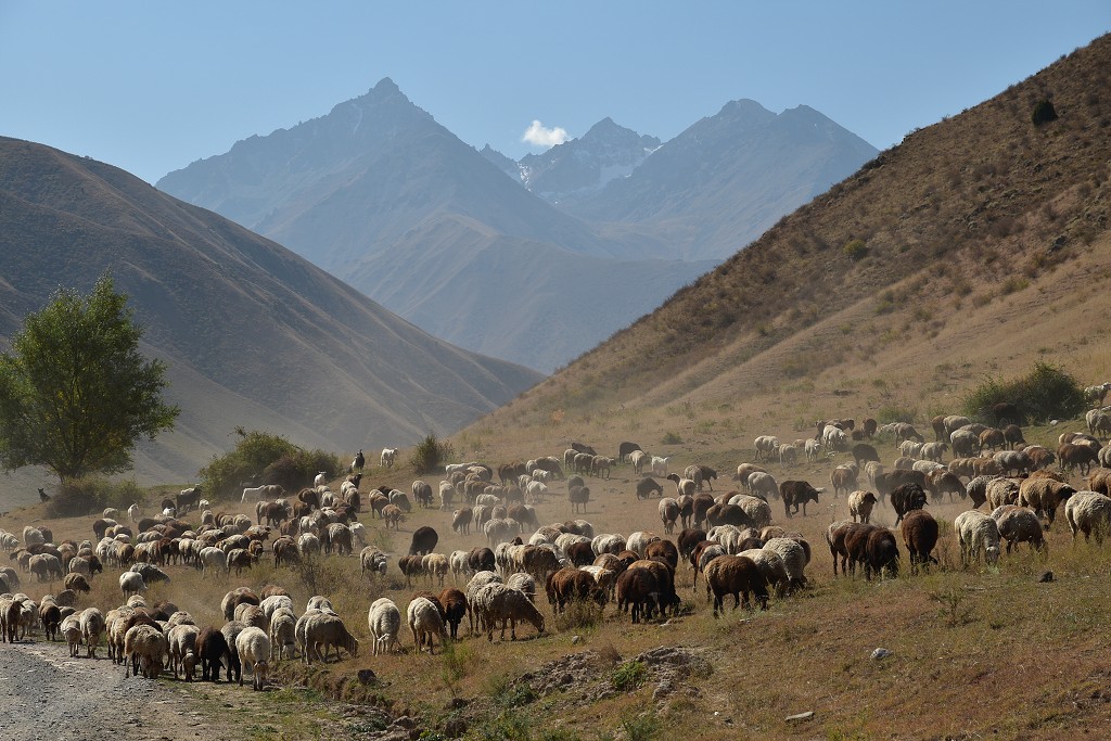 Kyrgyzstán - kaňon Sokuluk, Kyrgyz. Alatau, již. od Biškeku 