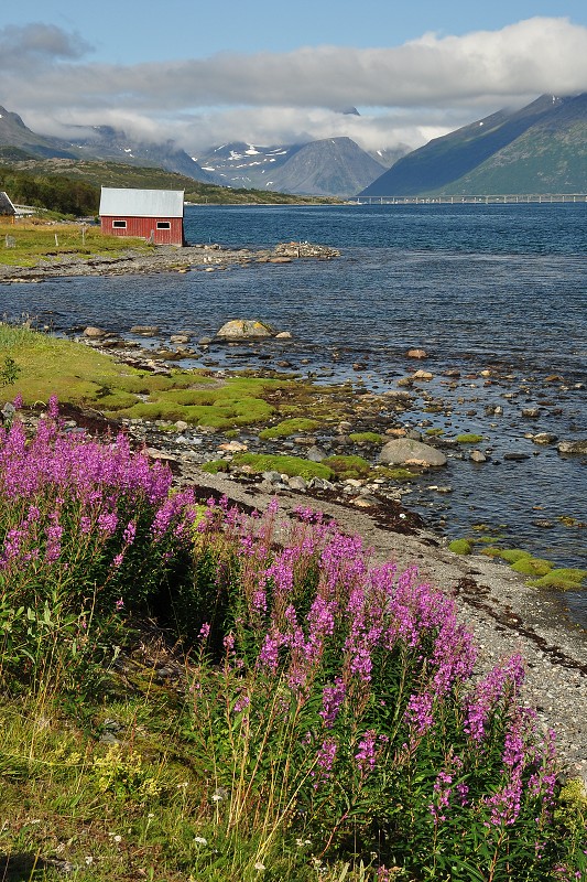 Laponsko 2014 - Skognes, cestou ke Skjervøy 