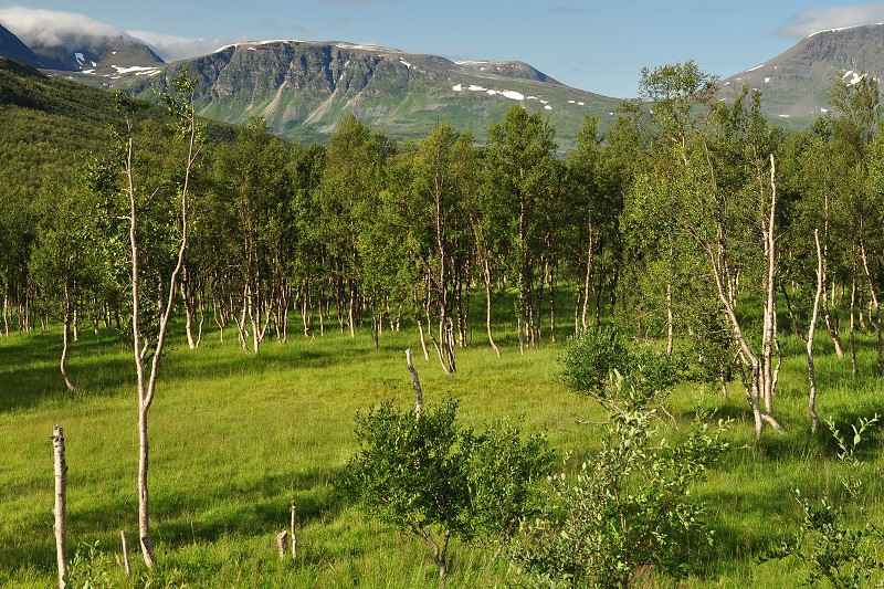 Laponsko 2014 - hory Kvænangsfjellet  