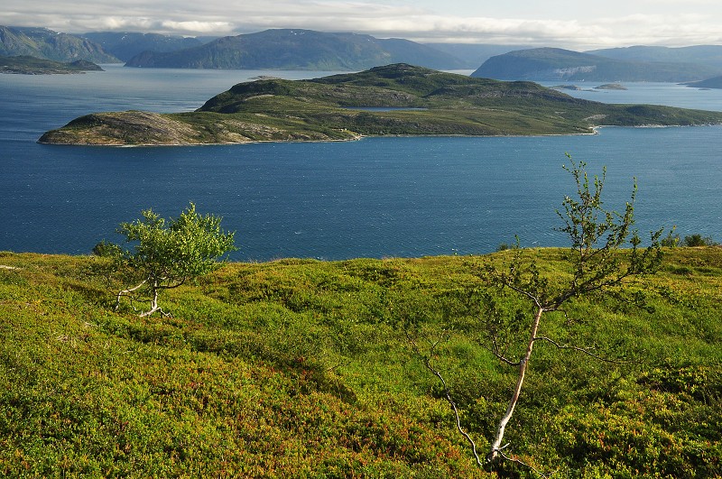Laponsko 2014 - fjord Kvænangen 