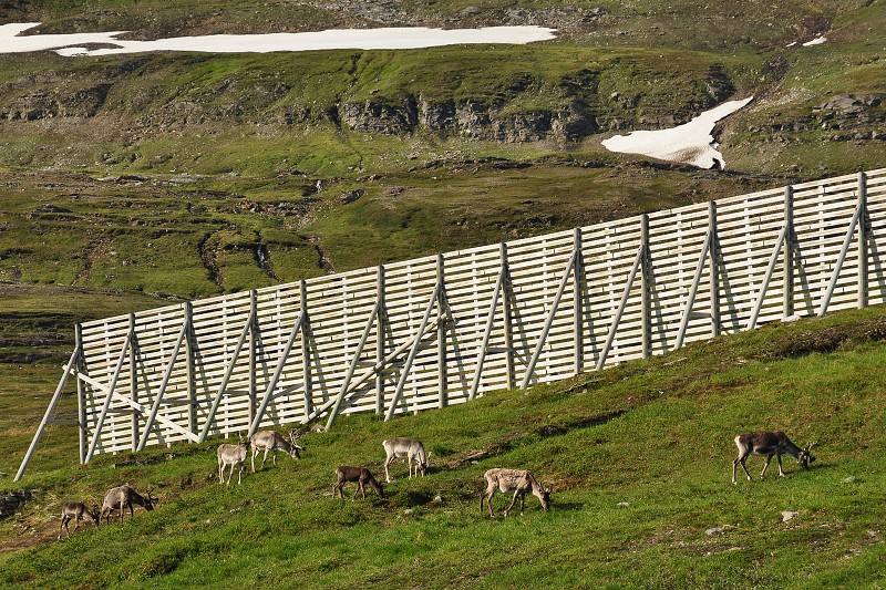 Laponsko 2014 - hory Kvænangsfjellet 