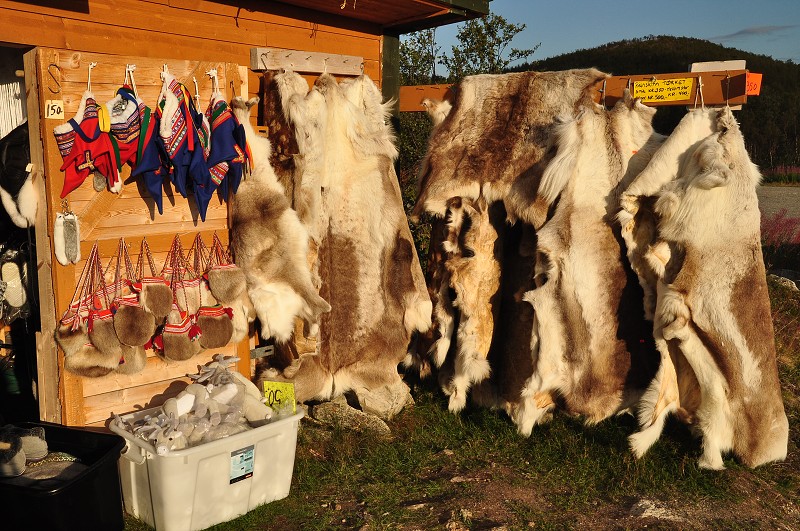 Laponsko 2014 -  