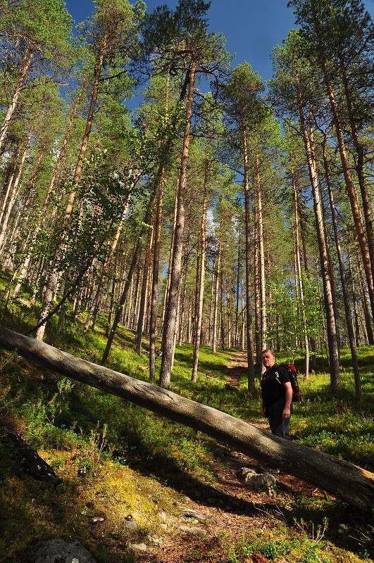 Laponsko 2014 - n.p. Lemmenjoki, finské Laponsko 