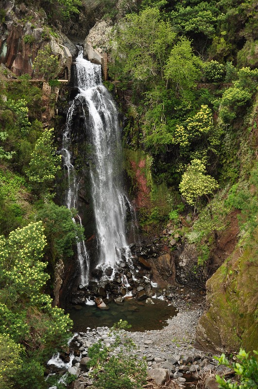 Madeira 2013 - levada dos Tornos, Quinta do Pomar - Monte 