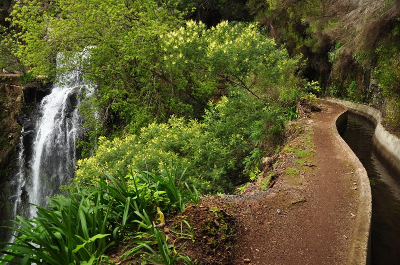 Madeira 2013 - levada dos Tornos, Quinta do Pomar - Monte 