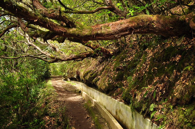 Madeira 2013 - levada do Furado, Ribeiro Frio - Portela 