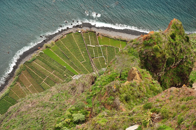 Madeira 2013 - Cabo Girao, 580 m.n.m 