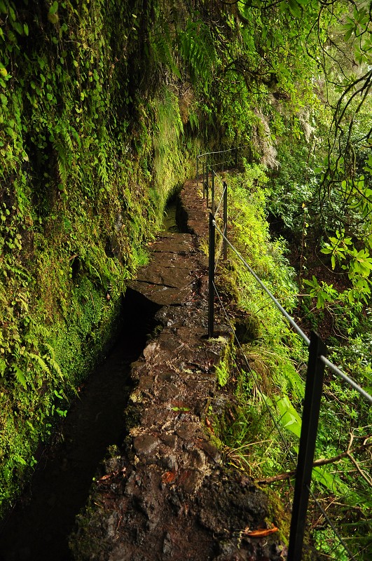 Madeira 2013 - levada de Caldeirao Verde 