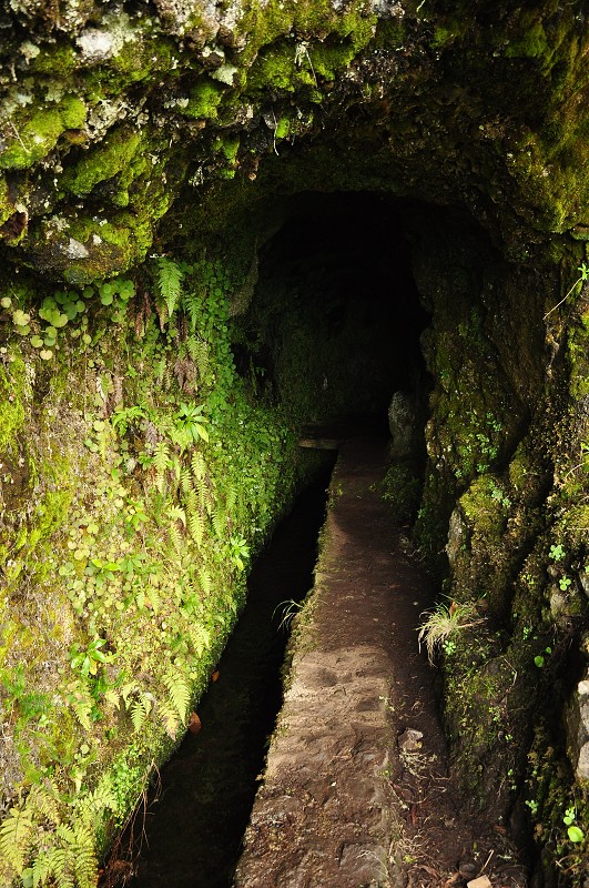 Madeira 2013 - levada de Caldeirao Verde 