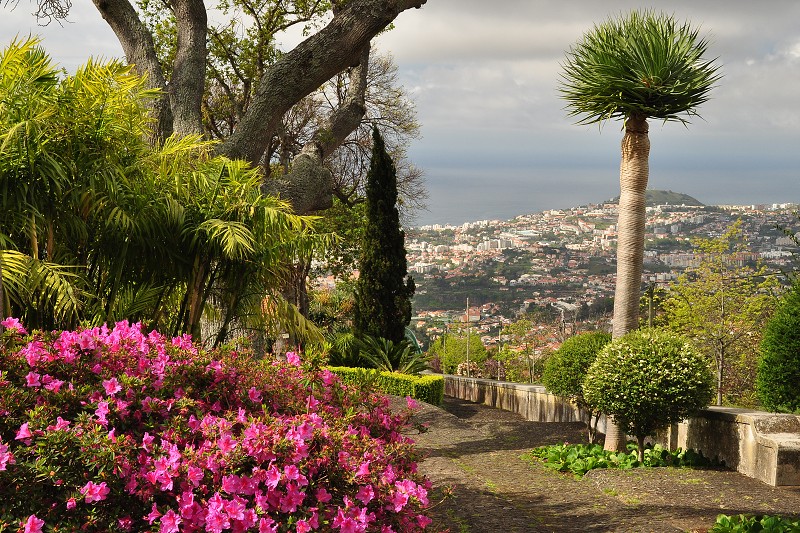 Madeira 2013 - pohled na Funchal z Monte 