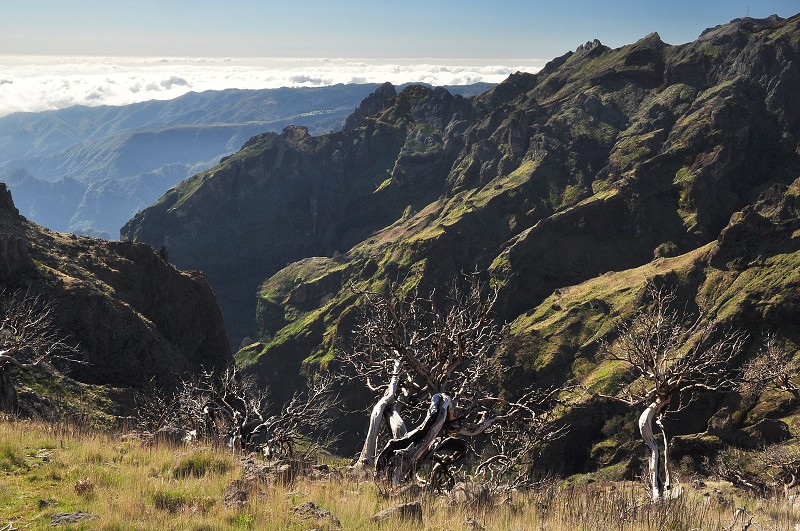 Madeira 2013 - údolí pod Pico Ruico 