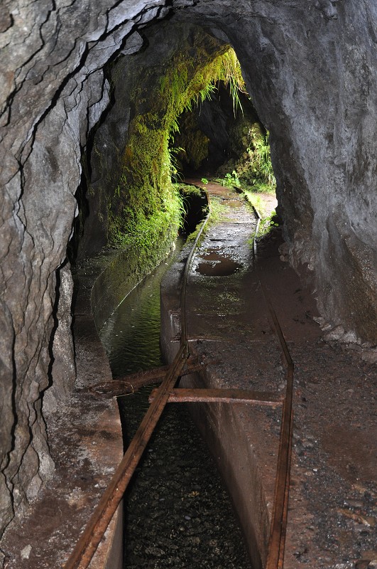 Madeira 2013 - túra levada do Pico Ruivo 