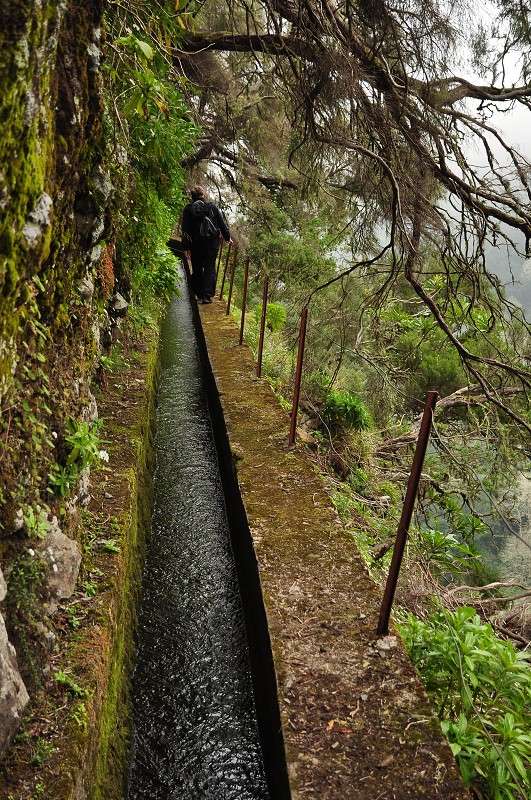 Madeira 2013 - Faja da Nogueira - levada Pico Ruivo  