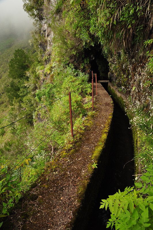 Madeira 2013 - Faja da Nogueira - levada Pico Ruivo  