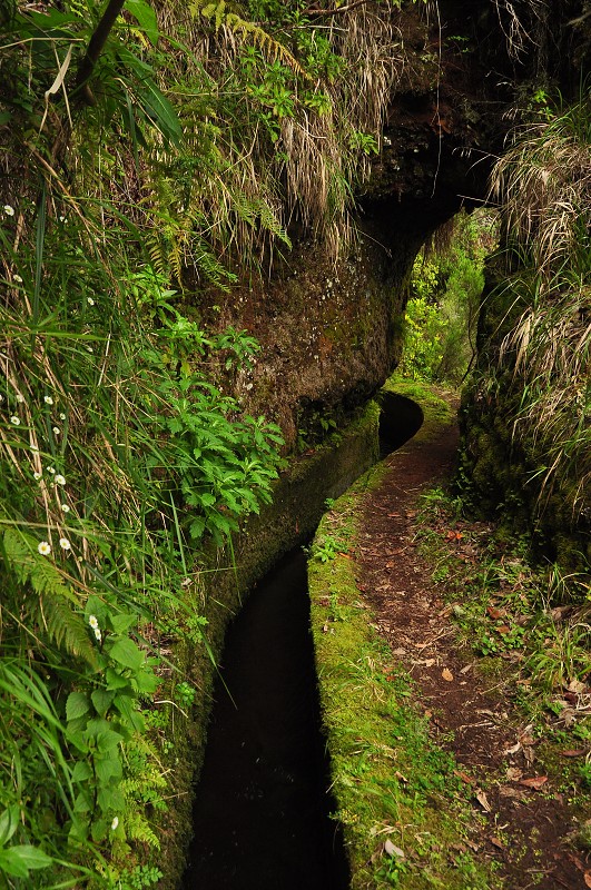 Madeira 2013 - Faja da Nogueira - levada Pico Ruivo  