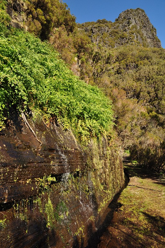 Madeira 2013 - levada da Serra Cascata, Bica da Cana 