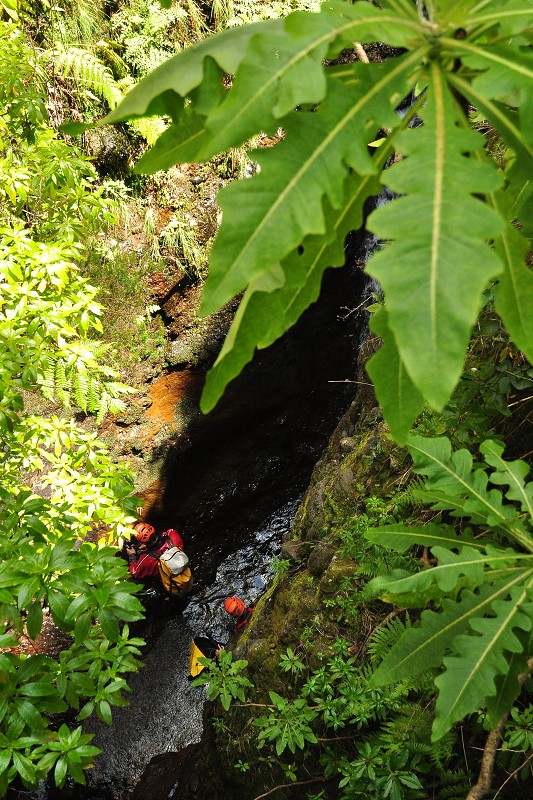 Madeira 2013 - canyoning v potoce Rib. da Janela 