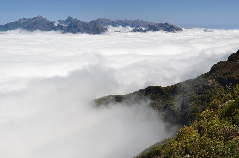 Madeira 2013 - Pico Ruivo do Paul 1640 m, Paul da Serra 