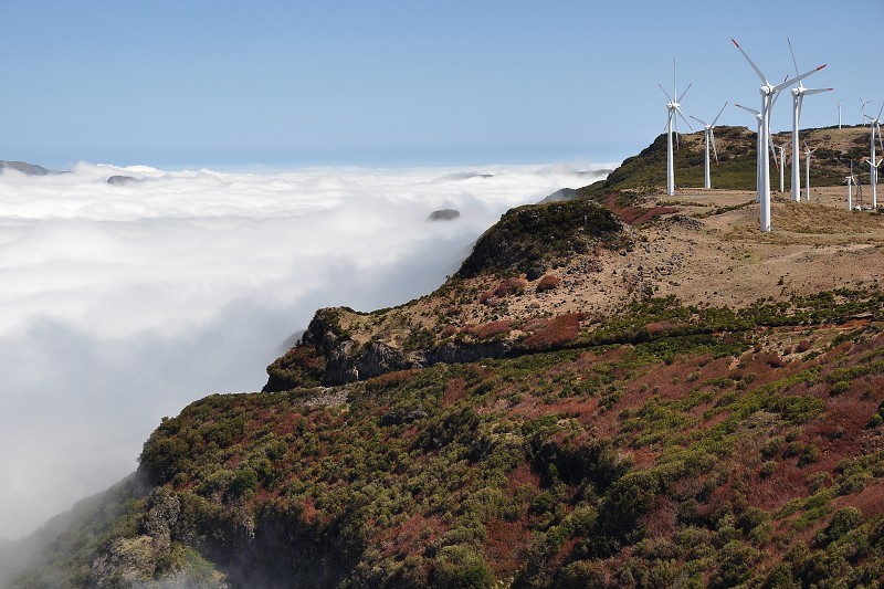 Madeira 2013 - Pico Ruivo do Paul 1640 m, Paul da Serra 