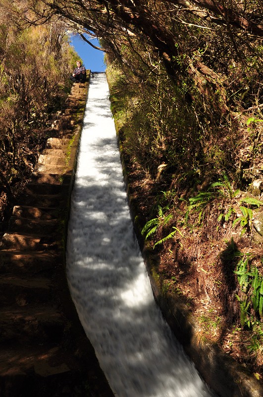 Madeira 2013 - do údolí Ribeira Grande, oblast Rabacal 