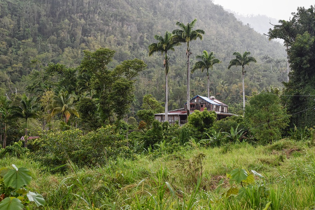 Malé Antily - Dominica, vnitrozemí podél Imperial Road