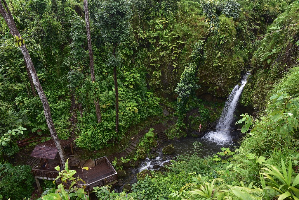 Malé Antily - Dominica - Emerald pool