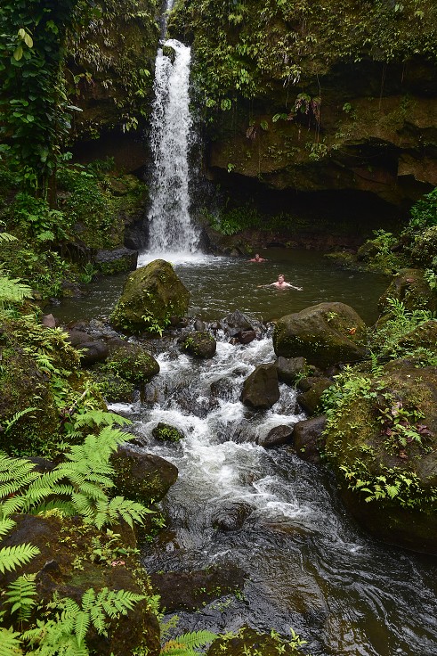 Malé Antily - Dominica - Emerald pool