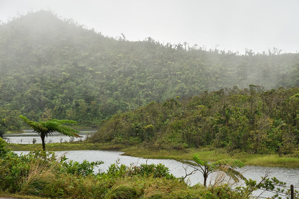 Malé Antily - Dominica - vnitrozemí, Fresch Water Lake