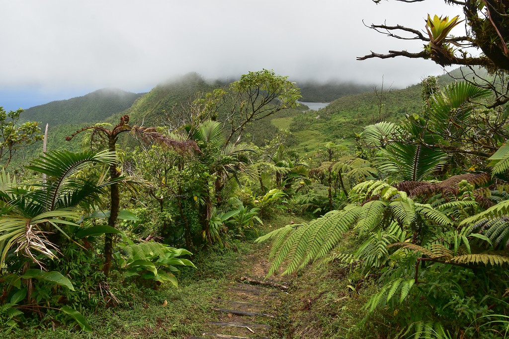 Malé Antily - Dominica, túra pralesem od Fresh Water Lake k Boeri Lake