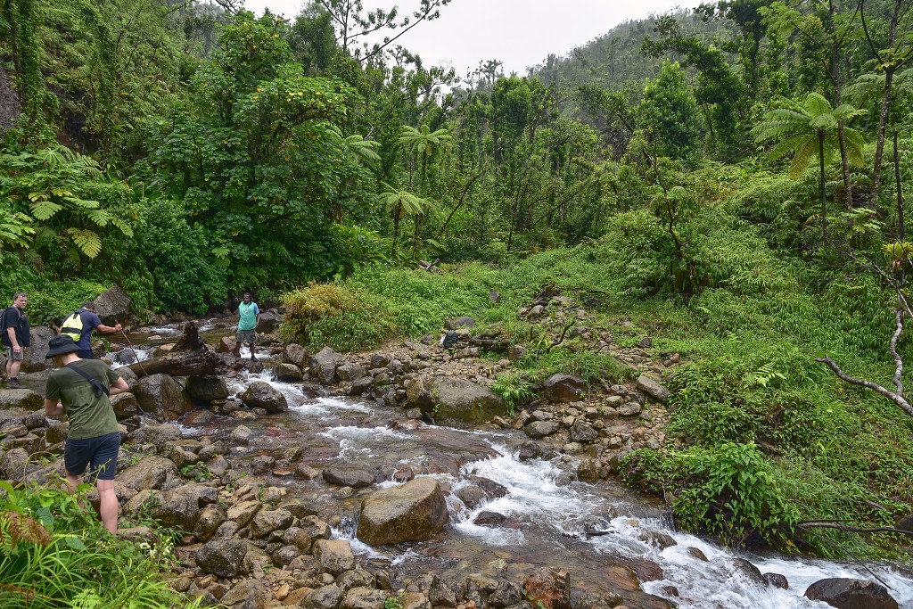 Malé Antily - Dominica - túra k Boiling Lake