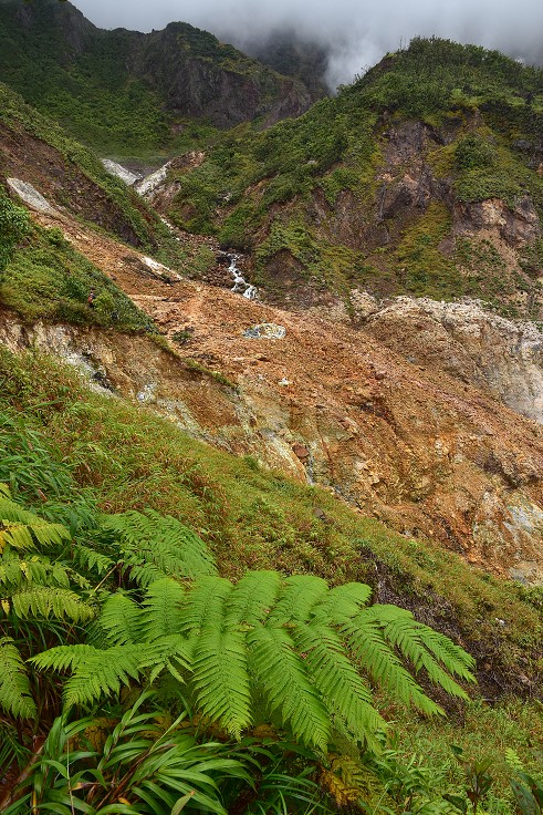 Malé Antily - Dominica - túra k Boiling lake, Valley od Desolation