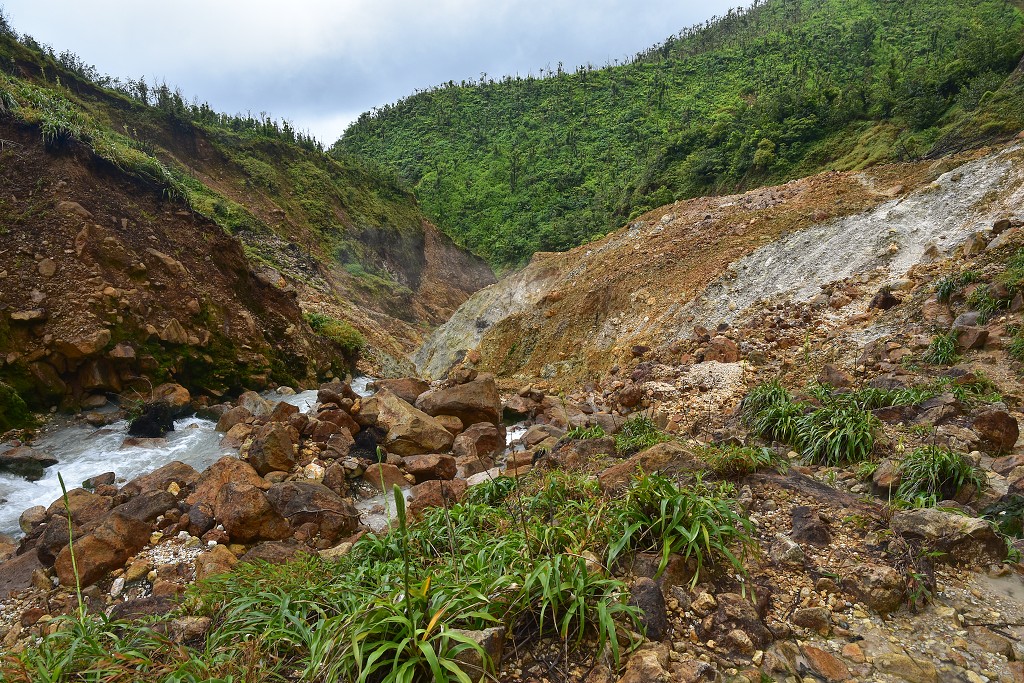 Malé Antily - Dominica - túra k Boiling lake, Valley od Desolation