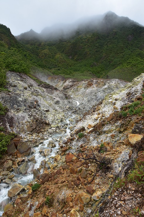 Malé Antily - Dominica - túra k Boiling lake, Valley od Desolation